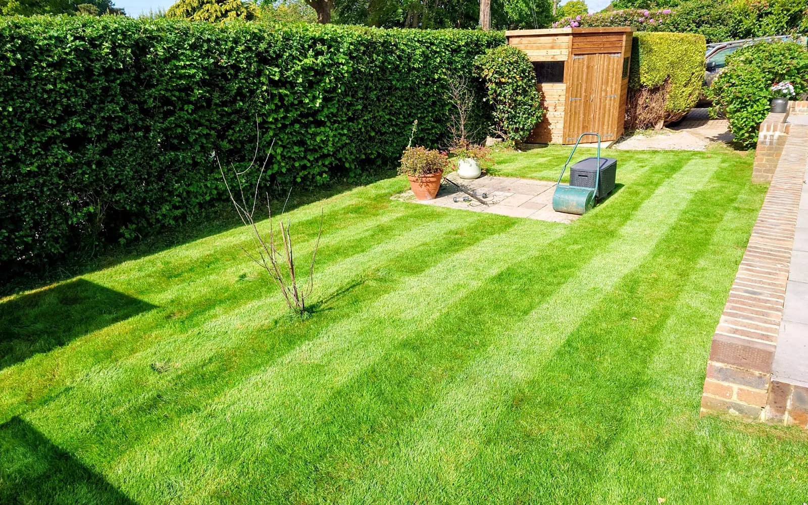Lawn Mowing & Grass Cutting