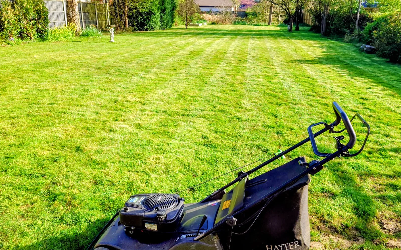 Seasonal Garden Services